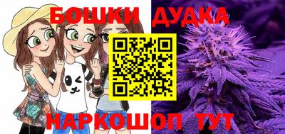 прущие грибы Бузулук
