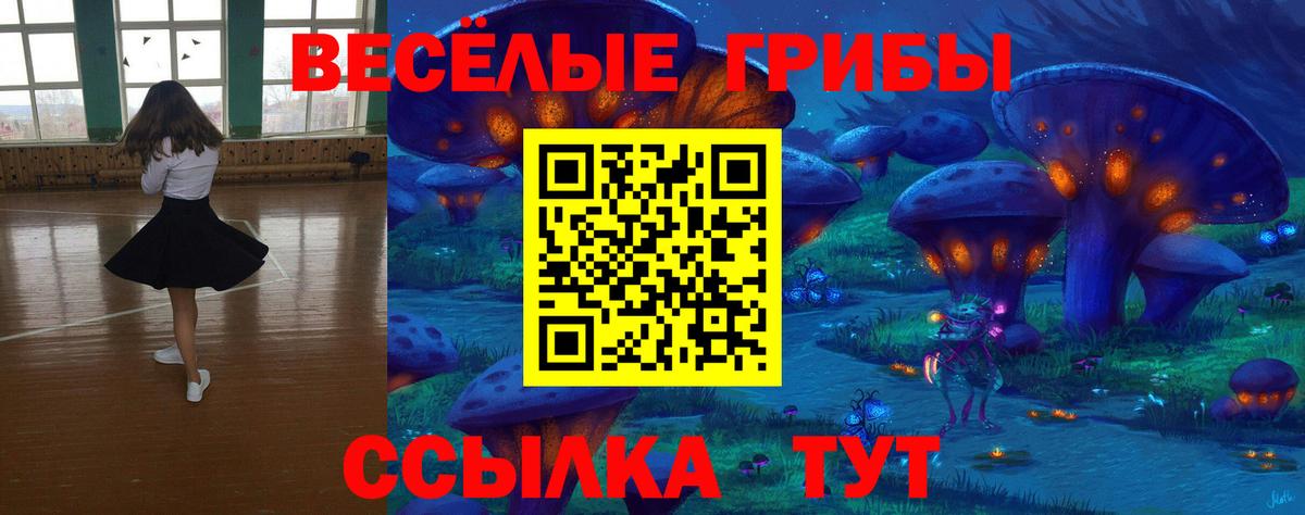 купить наркоту  Галлюциногенные грибы GOLDEN TEACHER  Вход с VPN  Медногорск  Галлюциногенные грибы Magic Shrooms 